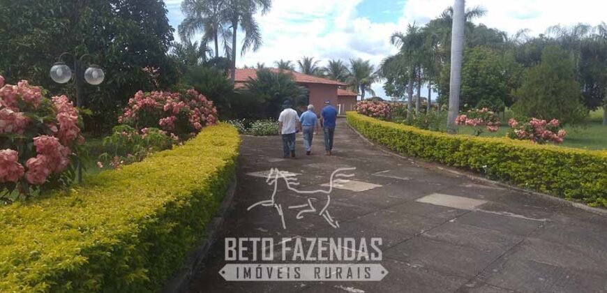 Fazenda à Venda  4.849 Hectares Dupla Aptidão Pecuária Elite | Formosa/ GO