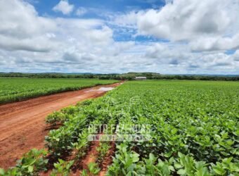 Fazenda de Soja à Venda 1.034 Hectares com Arrendamento | São José do Couto/ MT