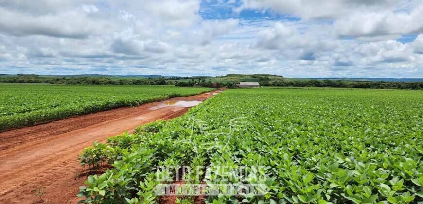 Fazenda de Soja à Venda 1.034 Hectares com Arrendamento | São José do Couto/ MT