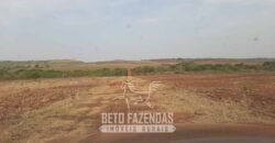 Fazenda de Soja à Venda 1.034 Hectares com Arrendamento | São José do Couto/ MT