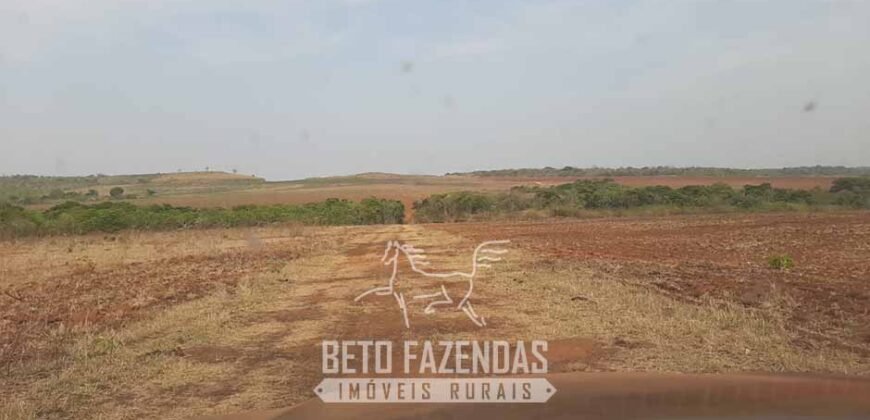 Fazenda de Soja à Venda 1.034 Hectares com Arrendamento | São José do Couto/ MT