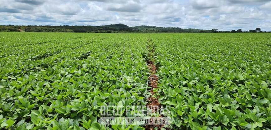 Fazenda de Soja à Venda 1.034 Hectares com Arrendamento | São José do Couto/ MT