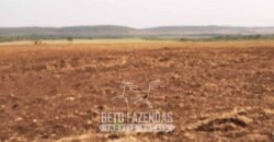 Fazenda de Soja à Venda 1.034 Hectares com Arrendamento | São José do Couto/ MT