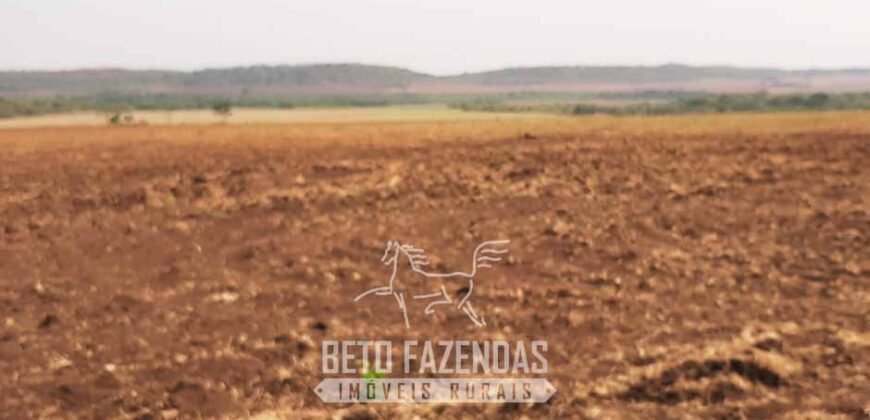 Fazenda de Soja à Venda 1.034 Hectares com Arrendamento | São José do Couto/ MT