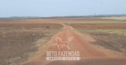 Fazenda de Soja à Venda 1.034 Hectares com Arrendamento | São José do Couto/ MT