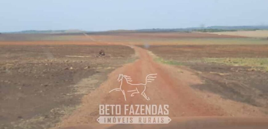 Fazenda de Soja à Venda 1.034 Hectares com Arrendamento | São José do Couto/ MT
