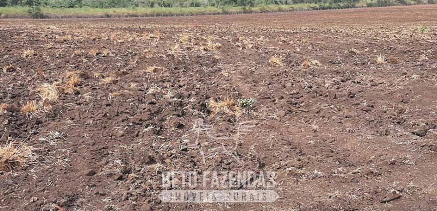 Fazenda de Soja à Venda 1.034 Hectares com Arrendamento | São José do Couto/ MT