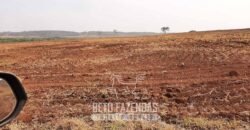 Fazenda de Soja à Venda 1.034 Hectares com Arrendamento | São José do Couto/ MT