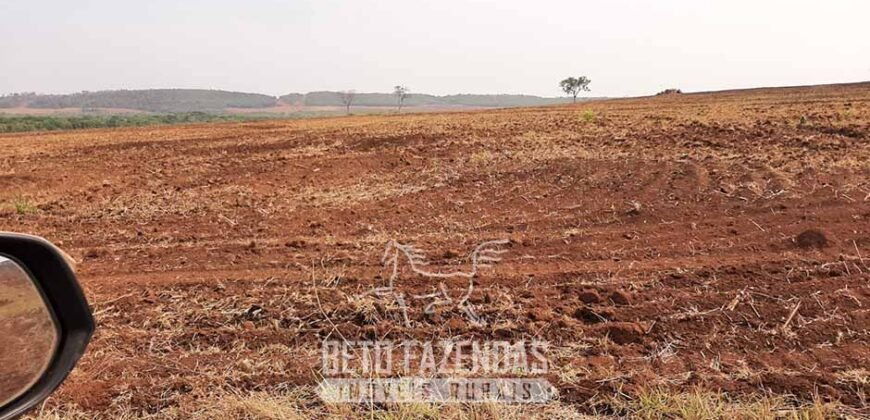 Fazenda de Soja à Venda 1.034 Hectares com Arrendamento | São José do Couto/ MT