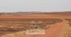 Fazenda de Soja à Venda 1.034 Hectares com Arrendamento | São José do Couto/ MT