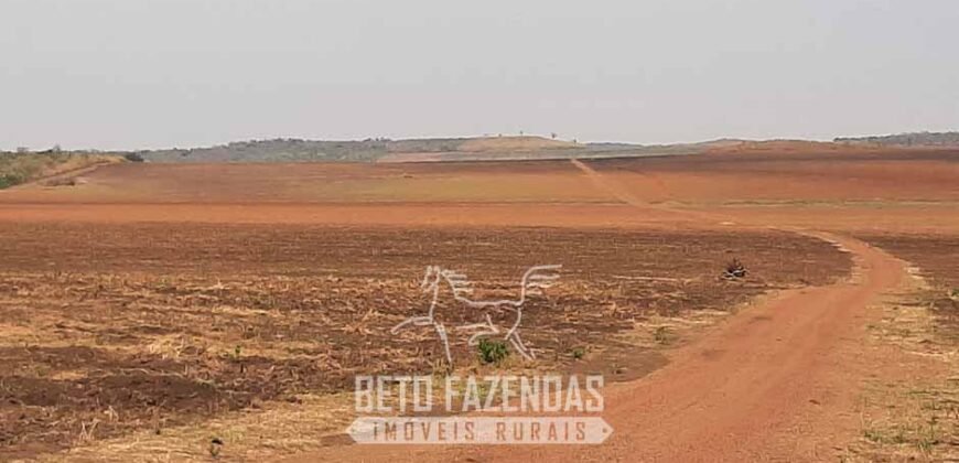 Fazenda de Soja à Venda 1.034 Hectares com Arrendamento | São José do Couto/ MT