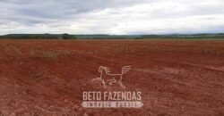 Fazenda de Soja à Venda 1.034 Hectares com Arrendamento | São José do Couto/ MT