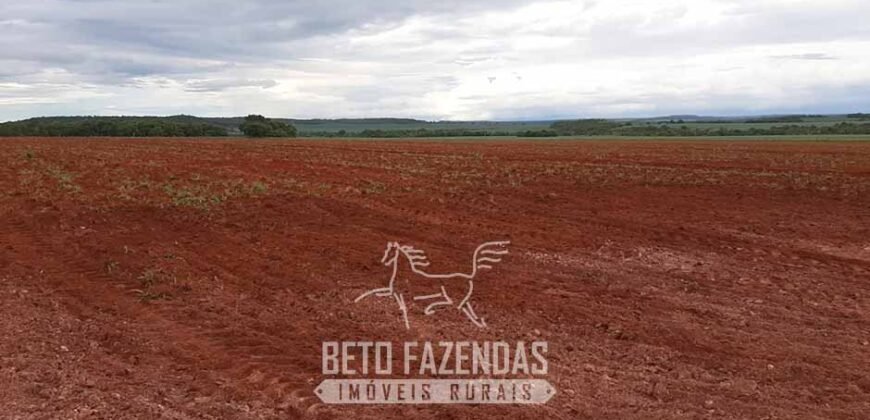 Fazenda de Soja à Venda 1.034 Hectares com Arrendamento | São José do Couto/ MT
