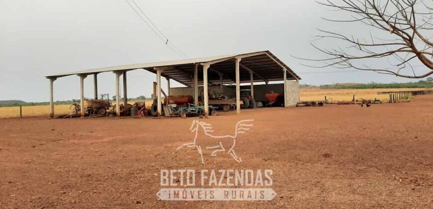 Fazenda de Soja à Venda 1.034 Hectares com Arrendamento | São José do Couto/ MT