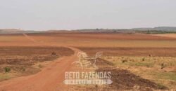 Fazenda de Soja à Venda 1.034 Hectares com Arrendamento | São José do Couto/ MT