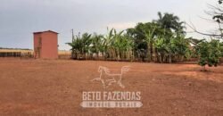 Fazenda de Soja à Venda 1.034 Hectares com Arrendamento | São José do Couto/ MT