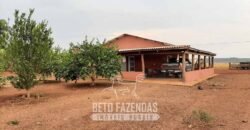 Fazenda de Soja à Venda 1.034 Hectares com Arrendamento | São José do Couto/ MT