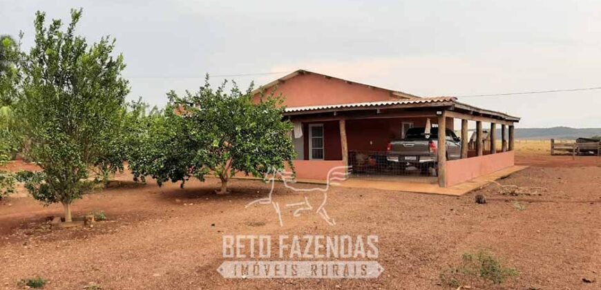 Fazenda de Soja à Venda 1.034 Hectares com Arrendamento | São José do Couto/ MT