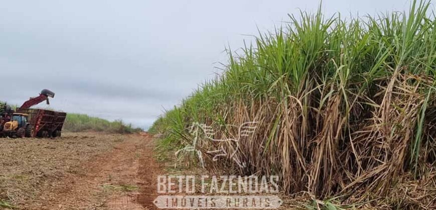 Usina de Cana-de-Açúcar e Álcool à Venda 78.200 Hectares em Produção | Mato Grosso do Sul