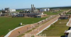 Usina de Cana-de-Açúcar e Álcool à Venda 78.200 Hectares em Produção | Mato Grosso do Sul