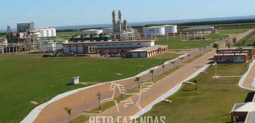 Usina de Cana-de-Açúcar e Álcool à Venda 78.200 Hectares em Produção | Mato Grosso do Sul