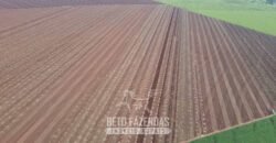 Usina de Cana-de-Açúcar e Álcool à Venda 78.200 Hectares em Produção | Mato Grosso do Sul