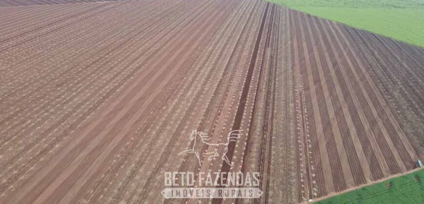 Usina de Cana-de-Açúcar e Álcool à Venda 78.200 Hectares em Produção | Mato Grosso do Sul