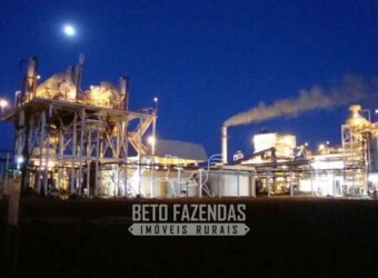 Usina de Cana-de-Açúcar e Álcool à Venda 78.200 Hectares em Produção | Mato Grosso do Sul