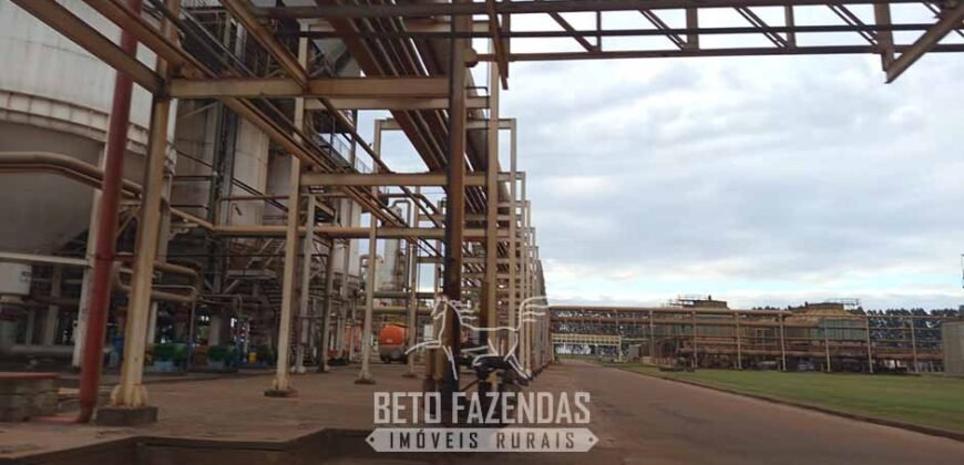 Usina de Cana-de-Açúcar e Álcool à Venda 78.200 Hectares em Produção | Mato Grosso do Sul