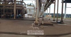 Usina de Cana-de-Açúcar e Álcool à Venda 78.200 Hectares em Produção | Mato Grosso do Sul