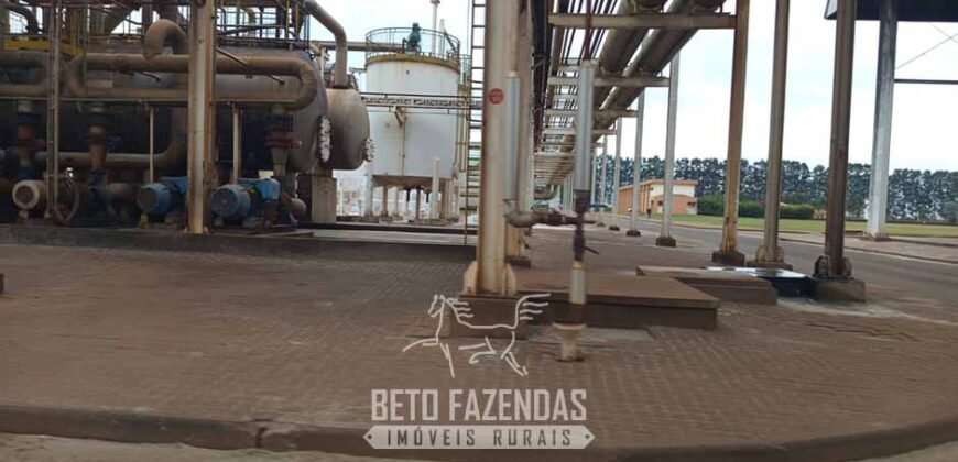 Usina de Cana-de-Açúcar e Álcool à Venda 78.200 Hectares em Produção | Mato Grosso do Sul