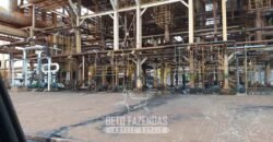 Usina de Cana-de-Açúcar e Álcool à Venda 78.200 Hectares em Produção | Mato Grosso do Sul