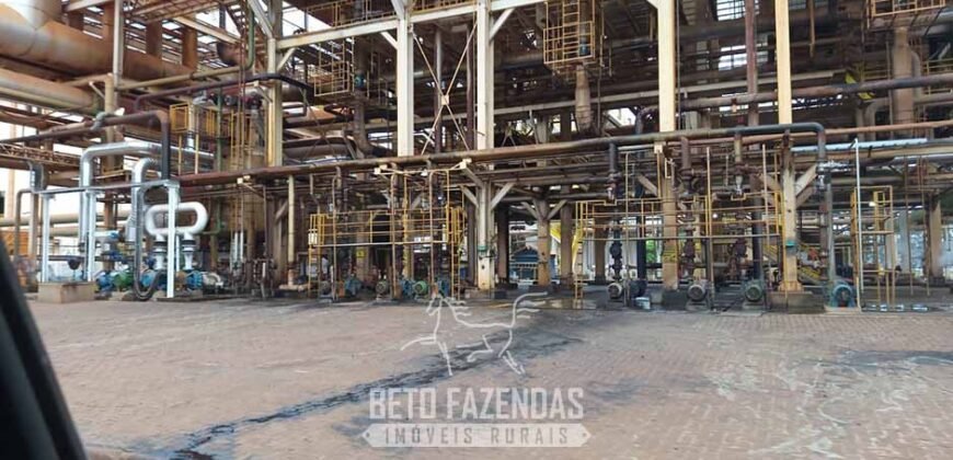 Usina de Cana-de-Açúcar e Álcool à Venda 78.200 Hectares em Produção | Mato Grosso do Sul