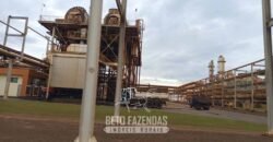 Usina de Cana-de-Açúcar e Álcool à Venda 78.200 Hectares em Produção | Mato Grosso do Sul