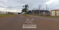 Usina de Cana-de-Açúcar e Álcool à Venda 78.200 Hectares em Produção | Mato Grosso do Sul