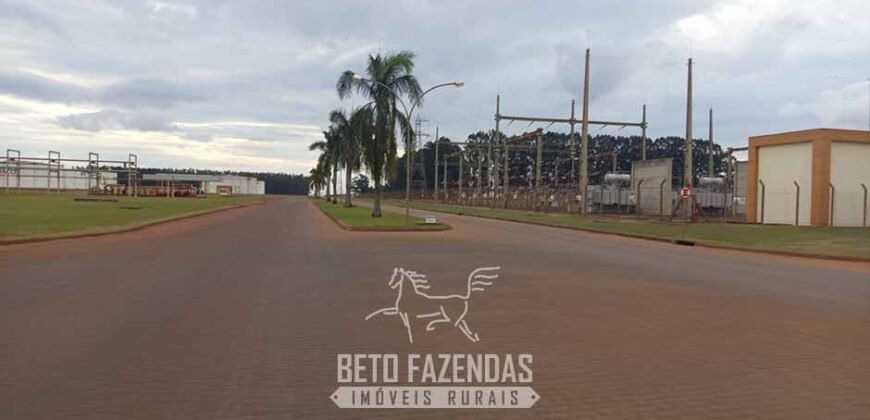 Usina de Cana-de-Açúcar e Álcool à Venda 78.200 Hectares em Produção | Mato Grosso do Sul