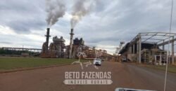 Usina de Cana-de-Açúcar e Álcool à Venda 78.200 Hectares em Produção | Mato Grosso do Sul