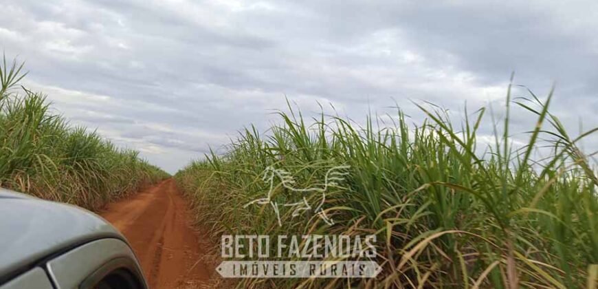 Usina de Cana-de-Açúcar e Álcool à Venda 78.200 Hectares em Produção | Mato Grosso do Sul