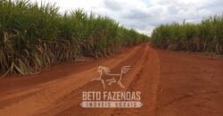 Usina de Cana-de-Açúcar e Álcool à Venda 78.200 Hectares em Produção | Mato Grosso do Sul