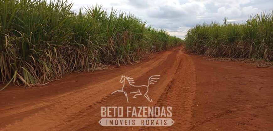 Usina de Cana-de-Açúcar e Álcool à Venda 78.200 Hectares em Produção | Mato Grosso do Sul