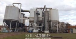 Usina de Cana-de-Açúcar e Álcool à Venda 78.200 Hectares em Produção | Mato Grosso do Sul