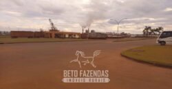 Usina de Cana-de-Açúcar e Álcool à Venda 78.200 Hectares em Produção | Mato Grosso do Sul