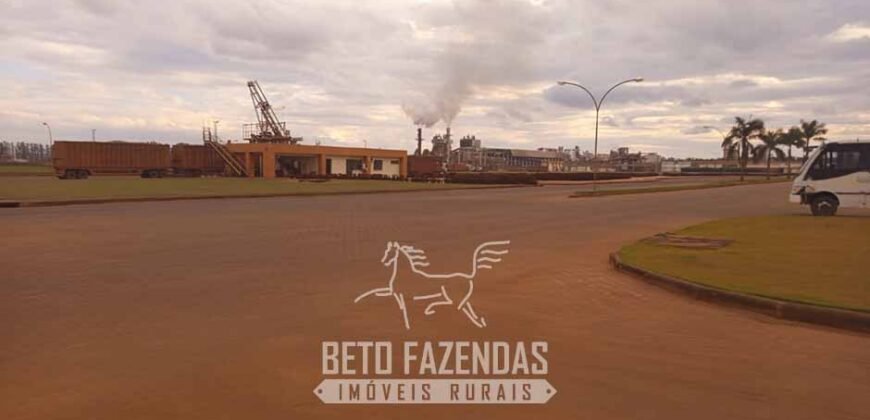 Usina de Cana-de-Açúcar e Álcool à Venda 78.200 Hectares em Produção | Mato Grosso do Sul