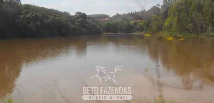Fazenda de Café 2.400 Hectares Certificada para Exportação | Interior de São Paulo