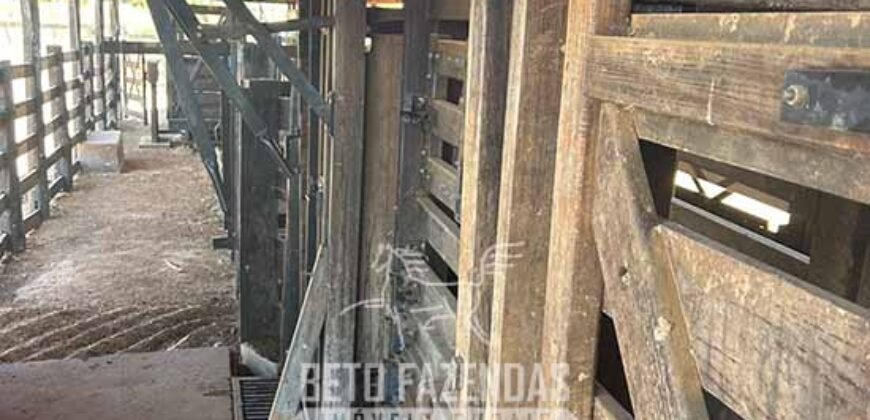 Fazenda à Venda 2.000 Hectares Pecuária Toda Infraestrutura | Pirapora/MG