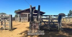 Fazenda à Venda 2.000 Hectares Pecuária Toda Infraestrutura | Pirapora/MG