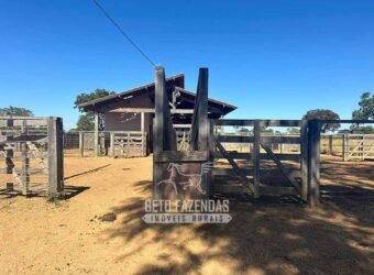 Fazenda à Venda 2.000 Hectares Pecuária Toda Infraestrutura | Pirapora/MG