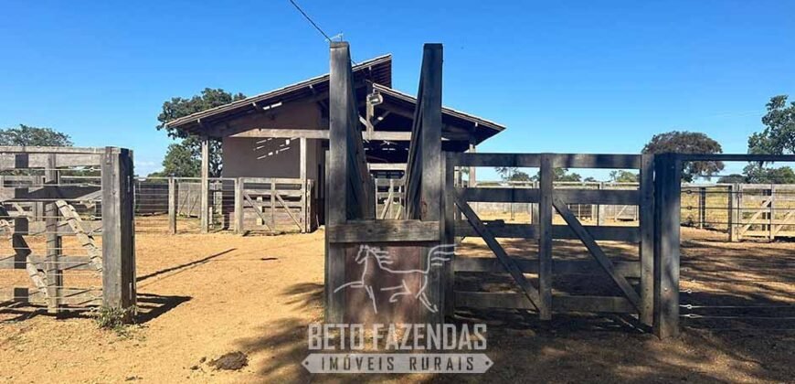 Fazenda à Venda 2.000 Hectares Pecuária Toda Infraestrutura | Pirapora/MG