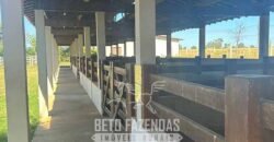 Fazenda à Venda 2.000 Hectares Pecuária Toda Infraestrutura | Pirapora/MG