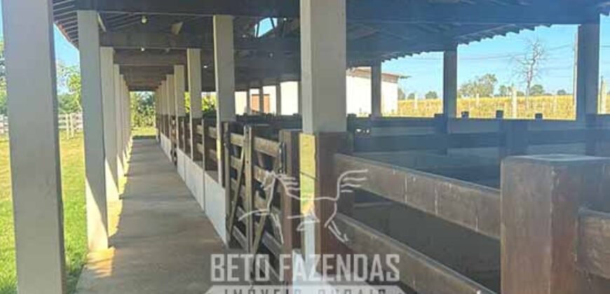 Fazenda à Venda 2.000 Hectares Pecuária Toda Infraestrutura | Pirapora/MG